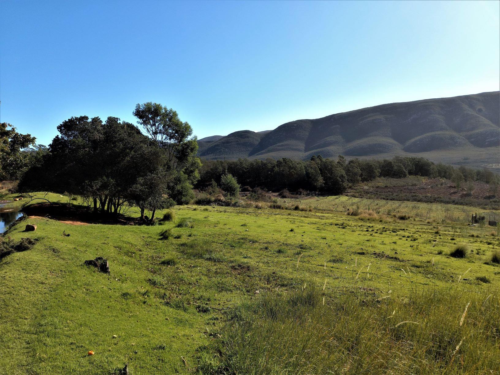 Commercial Property for Sale in Uniondale Rural Western Cape